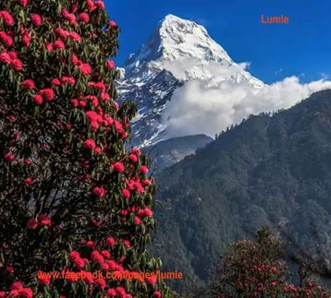 Annapurna Trek