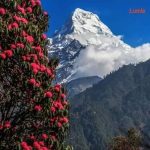 annapurna -trek