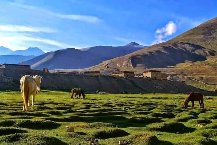 view from lower dolpa