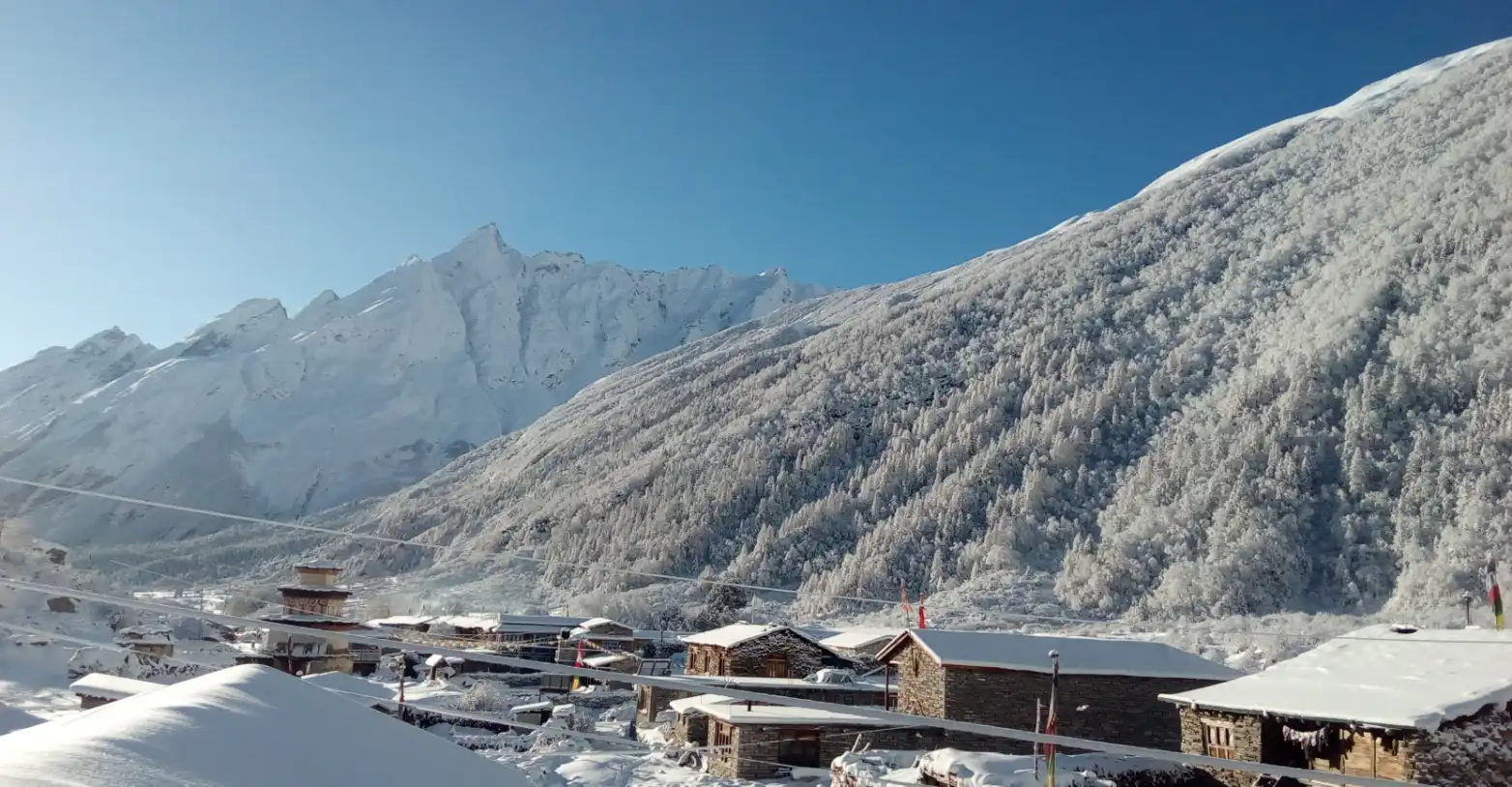 shama-village